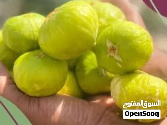تين جاسم للبيع بالكرتون
