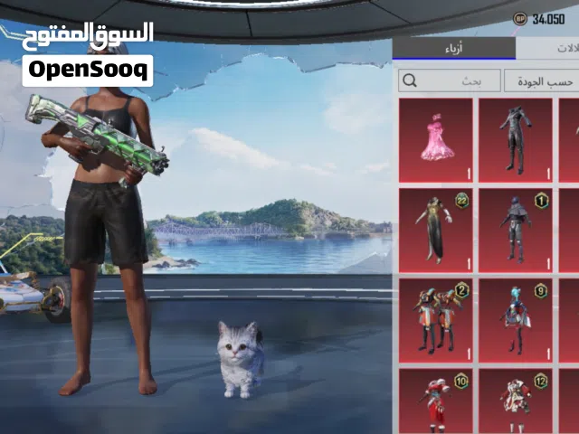 حساب ببجي فيه نوادر للبيع الصامل مابيني و بينه اختلاف حياه الله السعر  400
