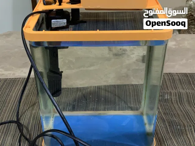 Small desktop fish tank with filter and light - used