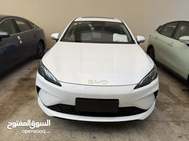 2025, بي واي دي, سيل