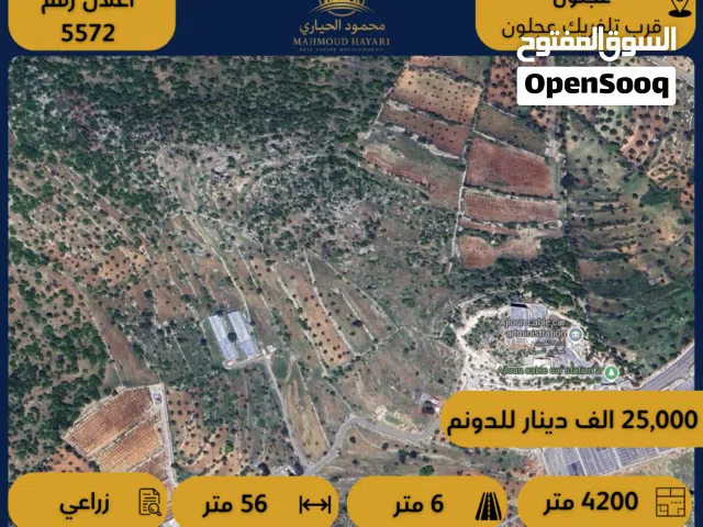 Farm Land for Sale in Ajloun Other