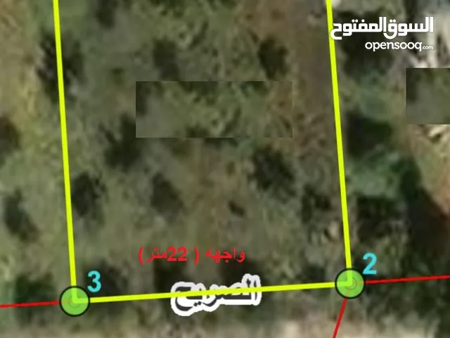 (635م) الصريح حوض سلمان الوسطاني منطقة مميزة