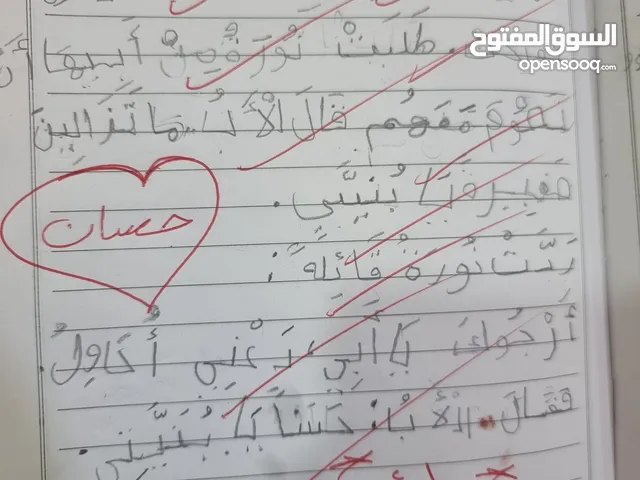 Elementary Teacher in Al Madinah