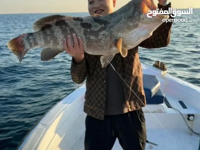 للبيع : شركة قائمة تعمل في مجال تأجير القوارب و سفن النزهة بموقع استراتيجي في مرسى المارينا -أبوظبي