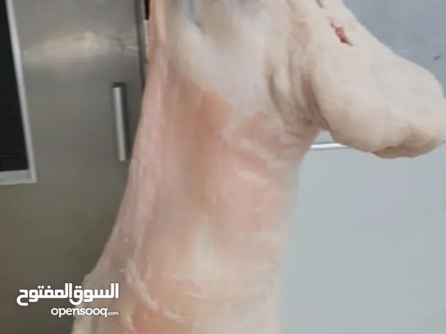 ملحمة للبيع