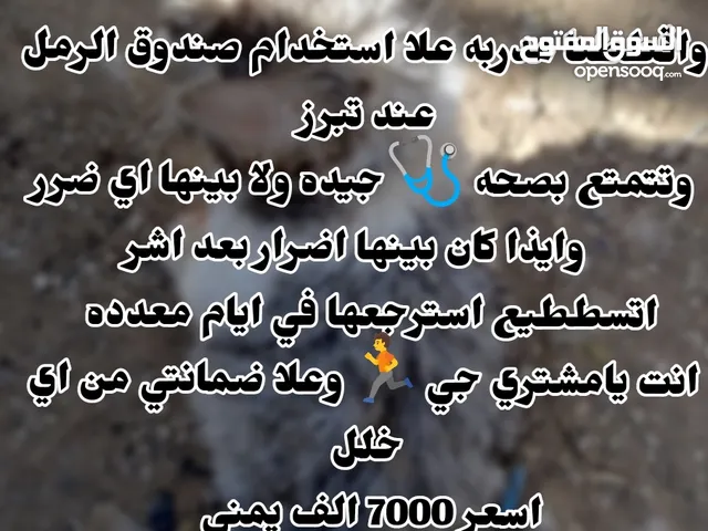 قط ذكر هملايا اليف جدن اقرأ الوصف