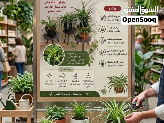 متوفر تشكيله نباتات خارجيه ودخليه  أسعار من دينار لا خمسه