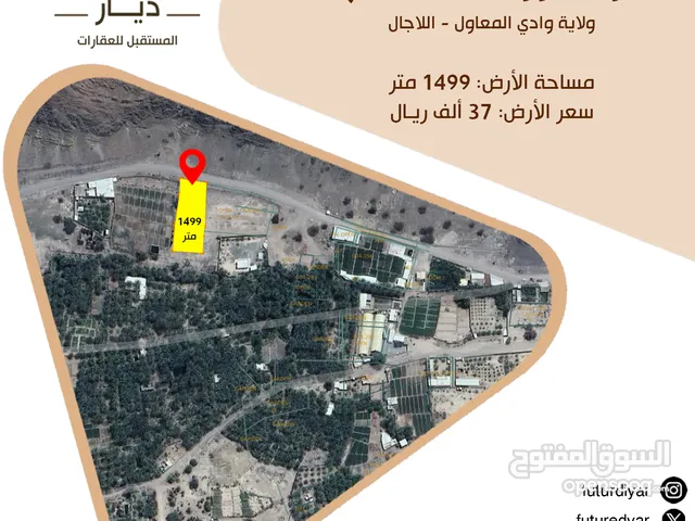 Farm Land for Sale in Al Batinah Wadi Al Ma'awal
