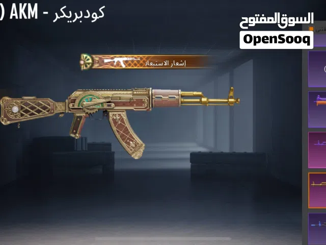 Pubg Accounts and Characters for Sale in Abu Dhabi