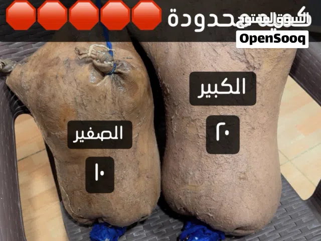 صملان غنم ونياق