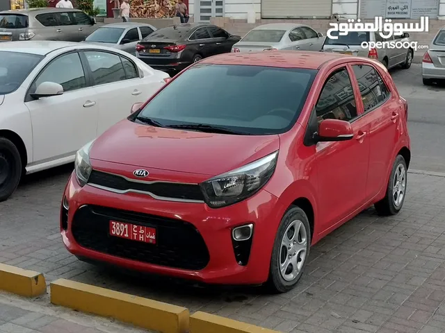 Toyota Corolla, Elantra, Accent , Kia Picanto SUV Kia Seltos, Nissan Micra available for Rent