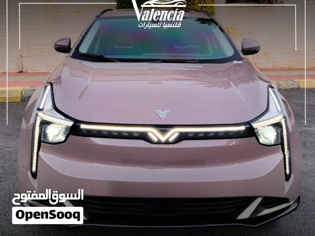 2022, Neta, U, Pro 400