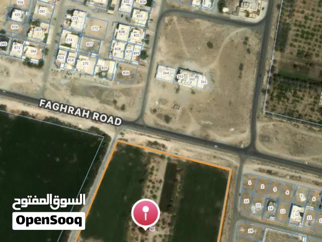 Farm Land for Rent in Al Batinah Barka