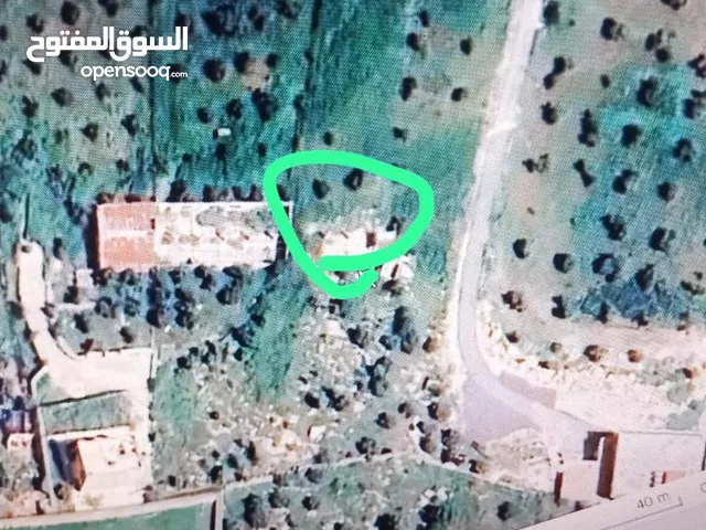 نصف دونم للبيع الموقع جرش المصطبة تم الفرز من قطعة 56 سكنية مزروعه زيتون