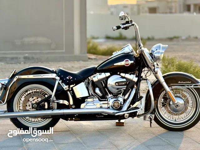 Harley davidson heritage 2017