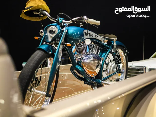 electric vintage retro bike