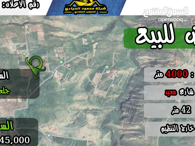 رقم الاعلان (4298) ارض زراعية للبيع في منطقة جلعد