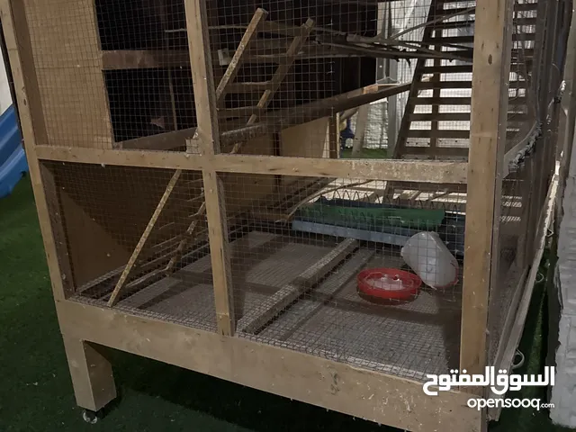 قفص مستعمل يصلح لجميع أنواع الطيور ( قابل للتفاوض بالمعقول )