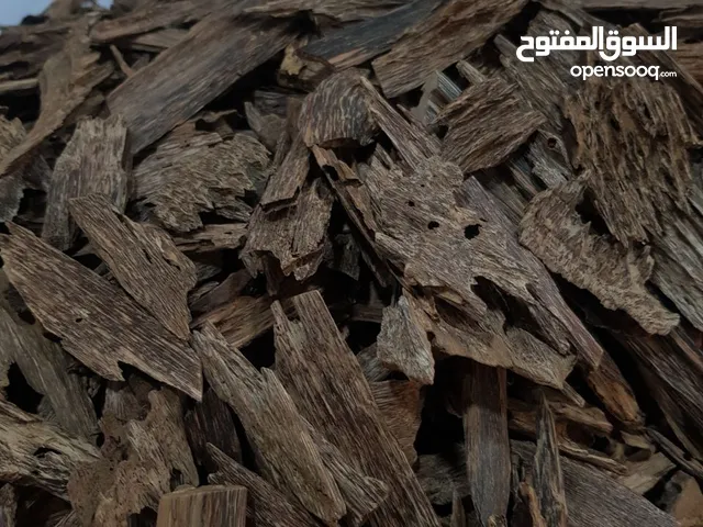 هل تبحث عن تجربة فريدة تأخذك في رحلة عبر الزمن؟ عود كلمنتان هو الخيار المثالي!