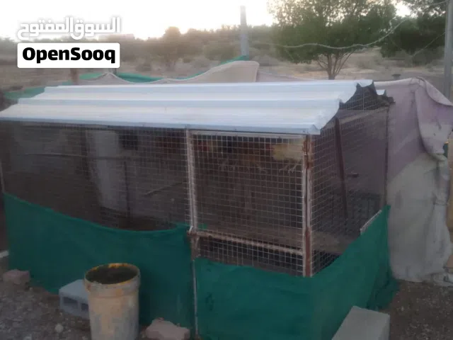 قفص للبيع بسعر مناسب