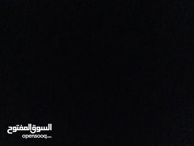مطلوب جرو للبيع بسعر 20
