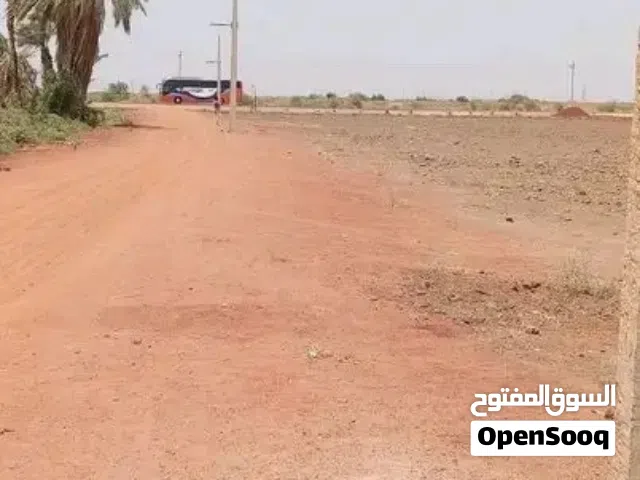 Residential Land for Sale in Al-Jazirah Al-Hasaheisa