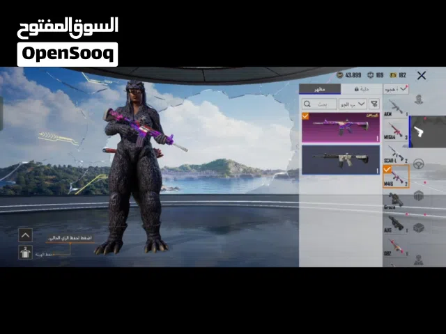 Pubg Accounts and Characters for Sale in Qalubia