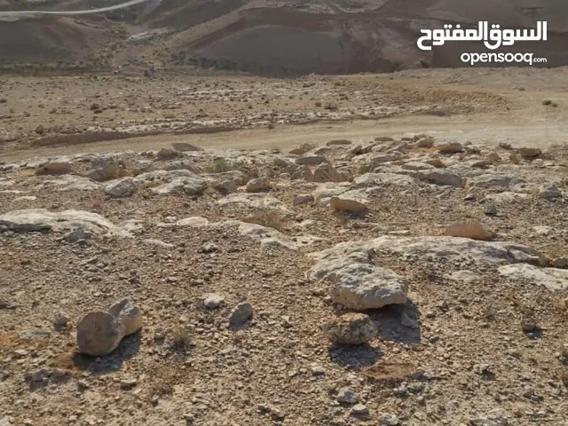 مطلوب ارض للشراء زينات الربوع