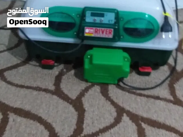 حضانة ايطالية اصلية