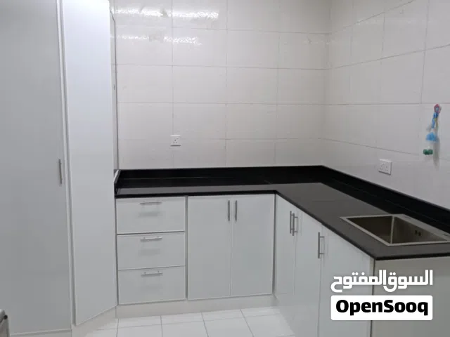 Steel almuniyam  door