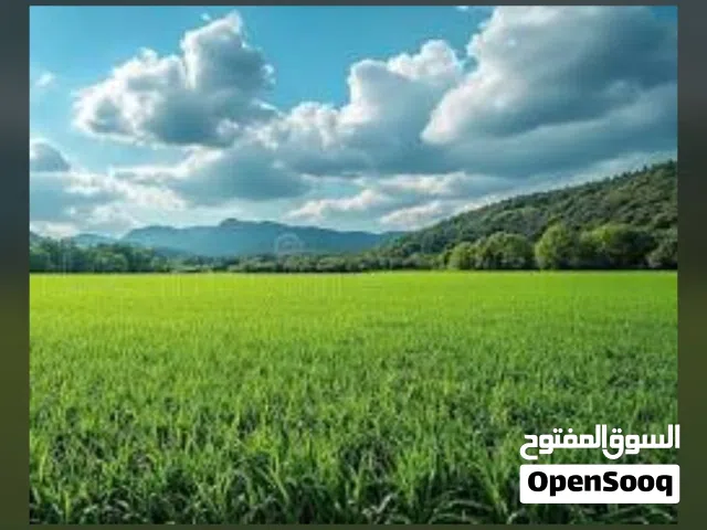 Residential Land for Sale in Tripoli Al-Baesh