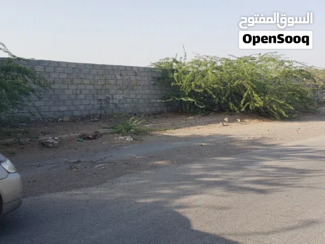 حوش شارع. الخمسين.