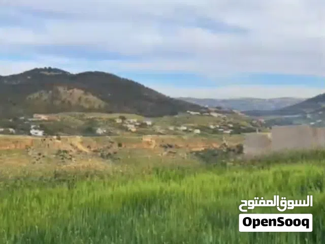 Mixed Use Land for Sale in Amman Other