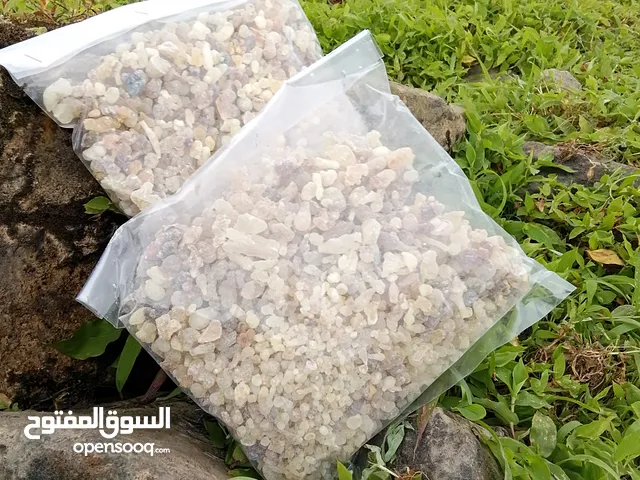 للبان حوجري لعادي
