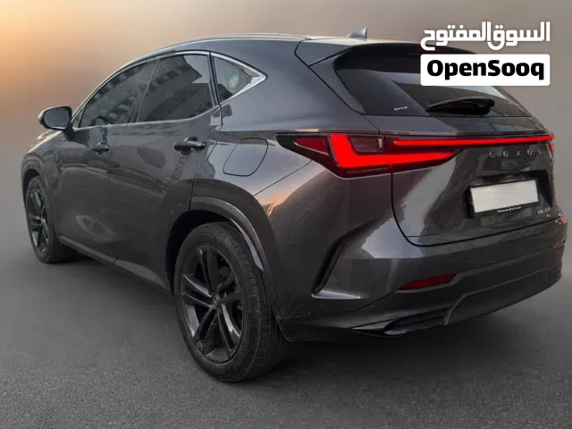 2024 لكزس NX NX 350
