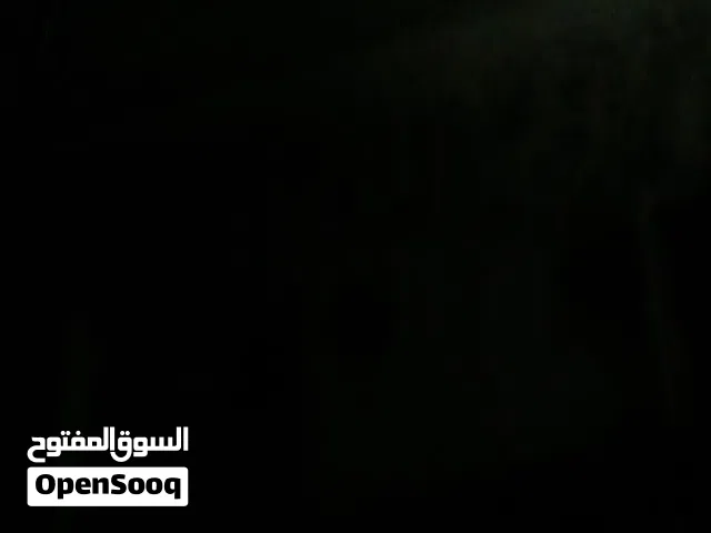 متوفر 9. فروخ كناري العمر 3 شهور لون اصفر ربي يبارك العمر 3 شهور السعر 80 الطرف