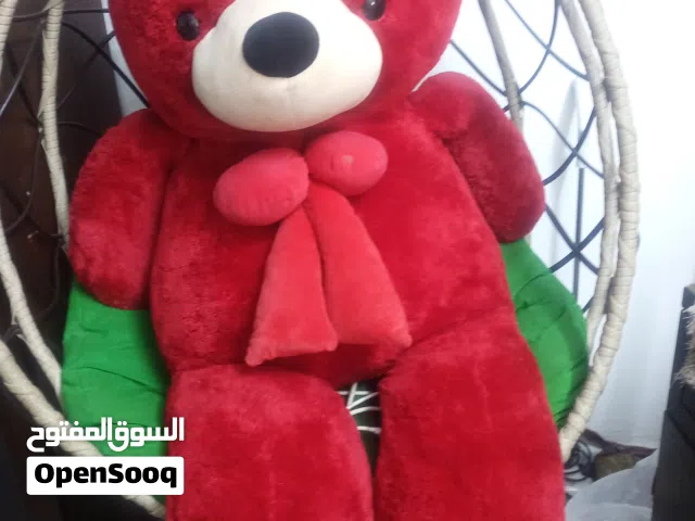 اربد مجمع الغور لقديم