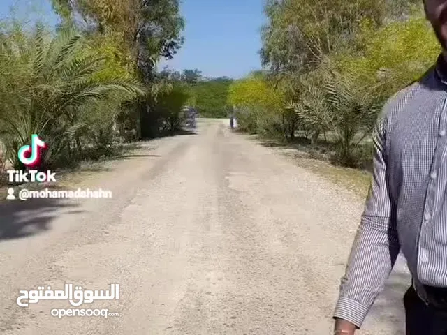 أراضي بالغورللأقساط بمساحة تبدأ من خمسمائة متر مربع ألى 2 دونم