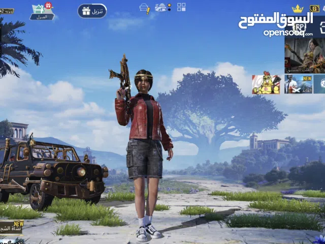 Pubg Accounts and Characters for Sale in Baghdad