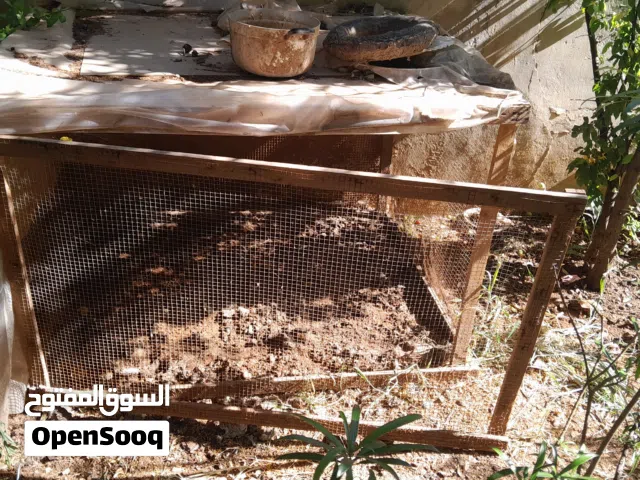قفص دجاج وبط عدد2 للبيع