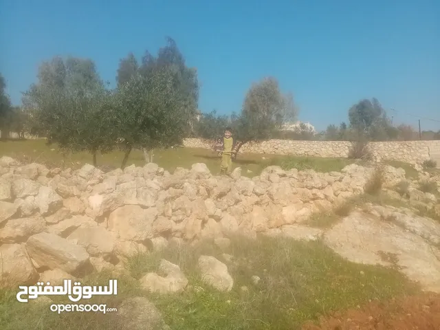 ارض للبيع في قريه الرمان