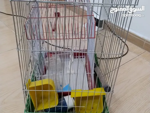 قفص ببغاء بحال الجديد