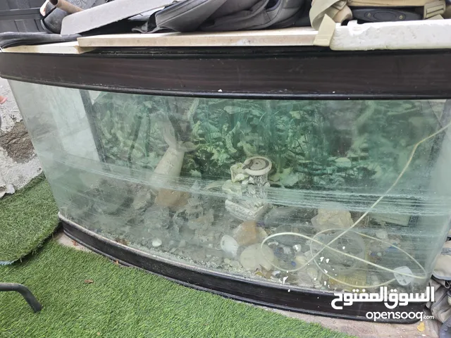 حوض اسمك كبيره جوده عاليه حجم كبير