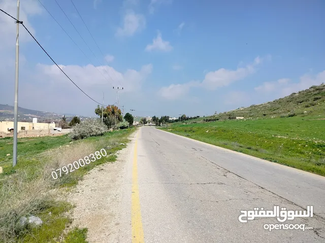 Mixed Use Land for Sale in Zarqa Al-Qnaiya
