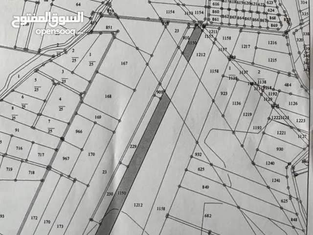 3700 من ضمن 21 دونم يقطعها شارع ال 100 وعليها عده شوارع الكهرباء والماء للبيع او المبادله على بيت
