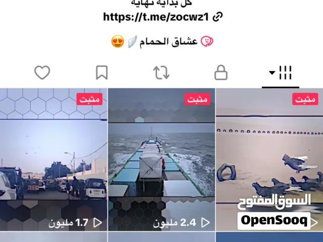 حساب تيك توك للبيع اقراء الوصف