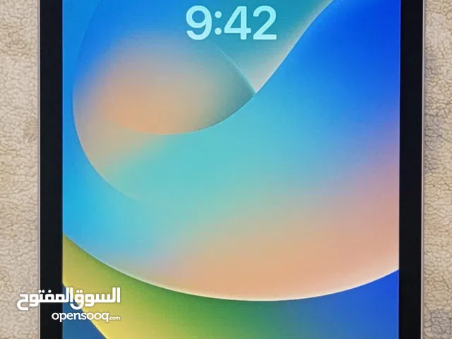 Perfect Apple iPad Pro 9.7 has 256 gb and modern version