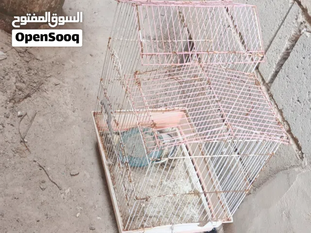 اقفاص للبيع قفص الحديد الصغير   ولخشب ابو السيم 12 ولقفص البلابل الكبير وصغير