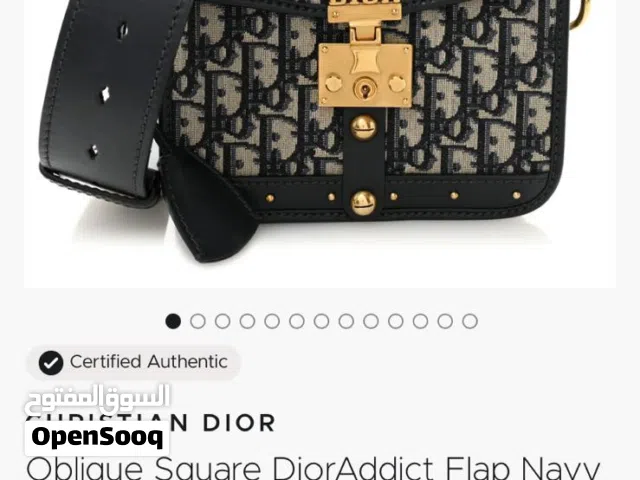 Dior oblique bag