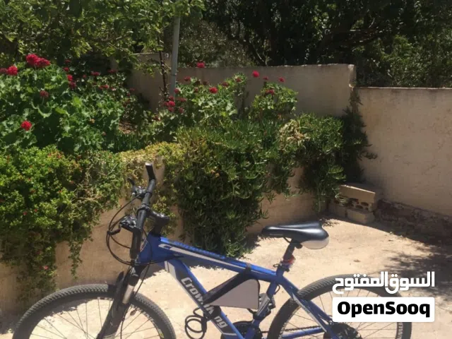 بسكليت امريكي للبيع
